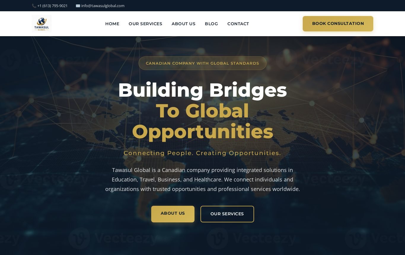 Tawasul Global &mdash; education, travel, business & healthcare services — website screenshot